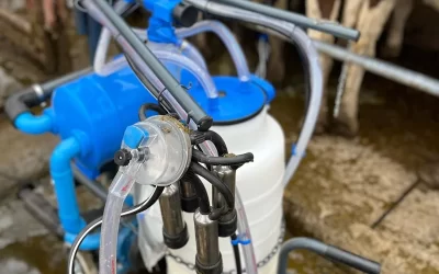 Ordeñadora Portátil Indargom: Versatilidad y Eficiencia para Rodeos Pequeños y Medianos