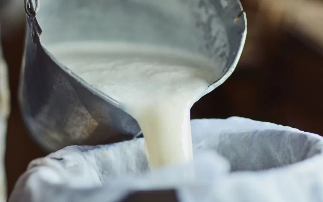 Pasteurización y Envasado, como agregar valor a su Producción Lechera